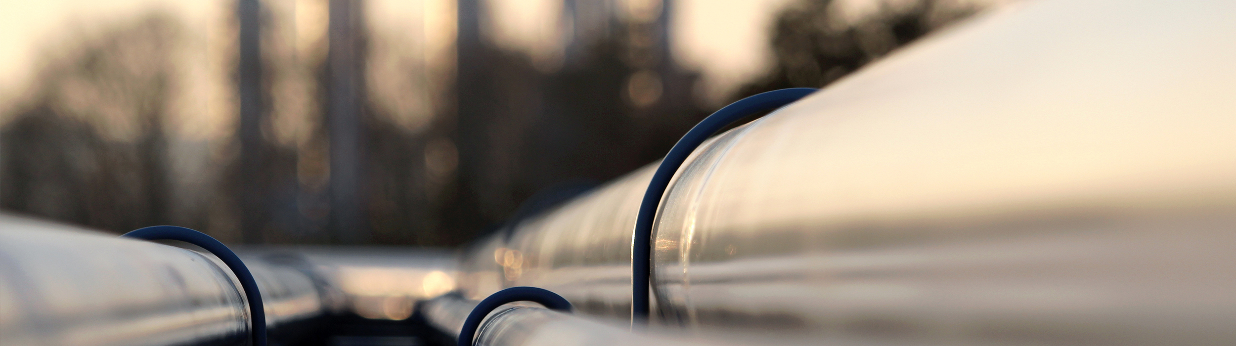 Pulsar cameras for oil and gas security